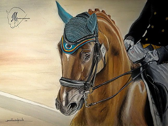 cuadro de caballo pintado a mano doma clásica