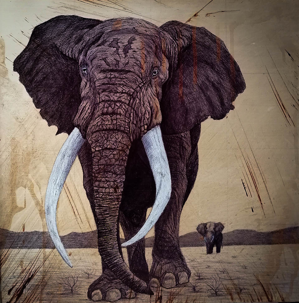 cuadro elefante