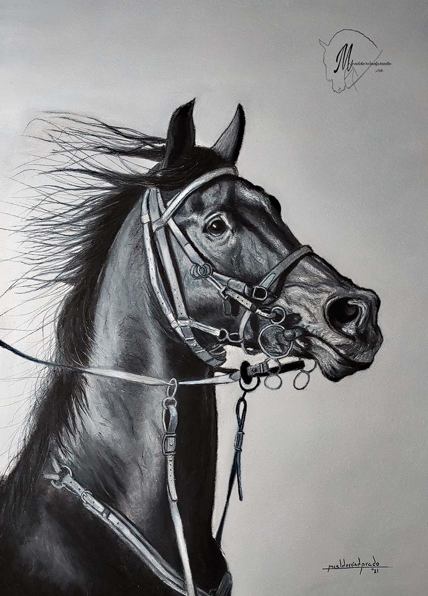 Cuadro de caballo a galope, pintado a mano en blanco y negro con arreos ingleses